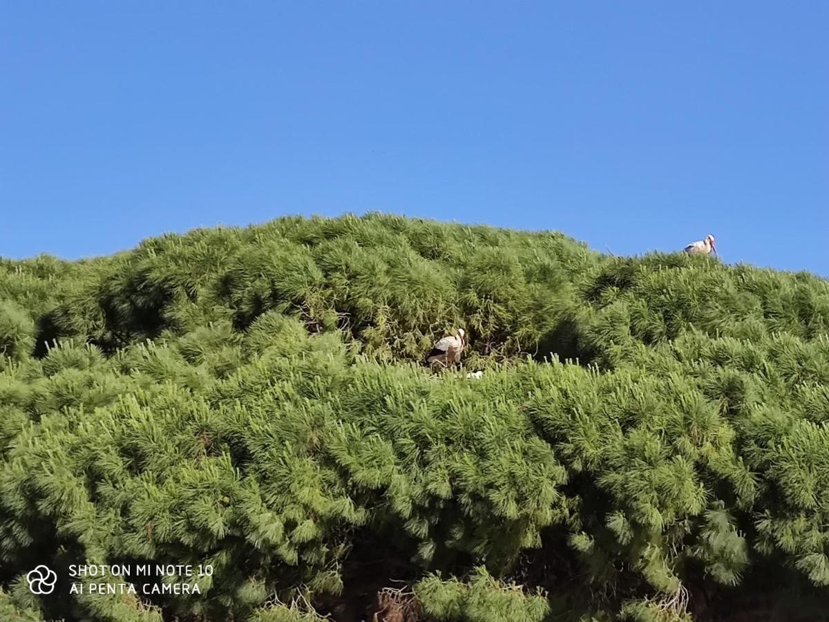 Pueblos Blancos مْبيخير ذي لا فرونتيرا المظهر الخارجي الصورة